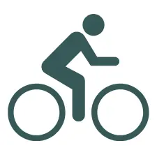 blocks_icon_svg